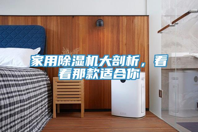家用除濕機(jī)大剖析，看看那款適合你