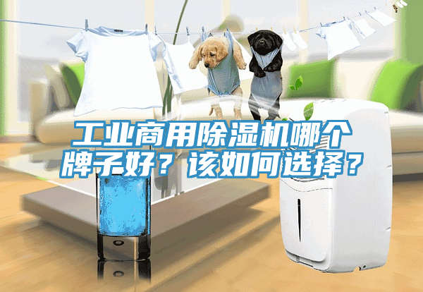 工業(yè)商用除濕機哪個牌子好？該如何選擇？