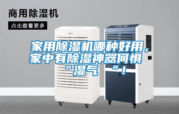 家用除濕機(jī)哪種好用，家中有除濕神器何懼 “濕氣 “！