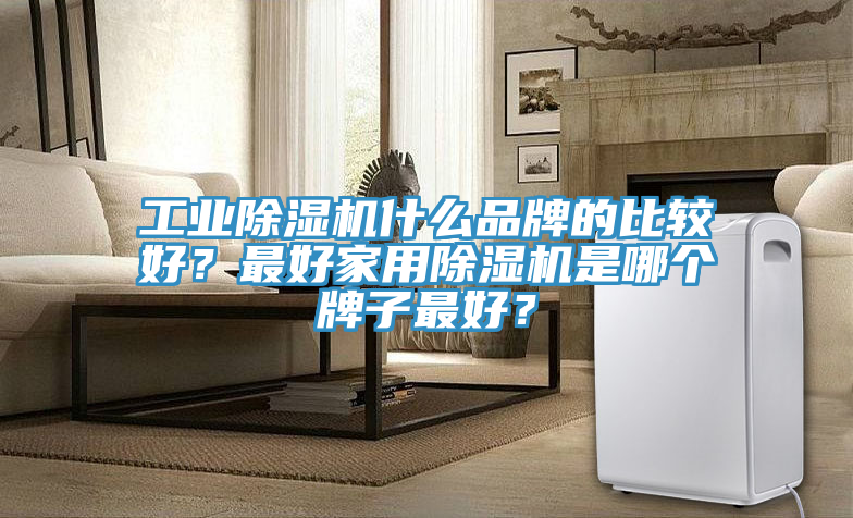 工業(yè)除濕機(jī)什么品牌的比較好？最好家用除濕機(jī)是哪個(gè)牌子最好？