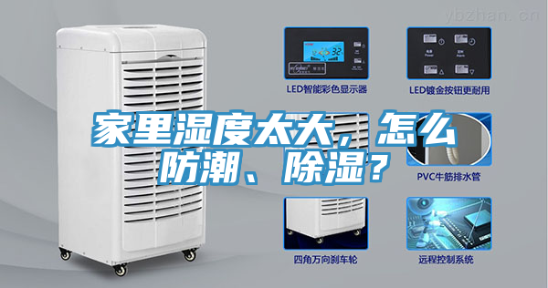 家里濕度太大，怎么防潮、除濕？