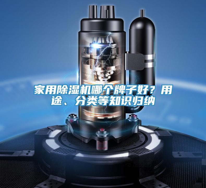 家用除濕機哪個牌子好？用途、分類等知識歸納