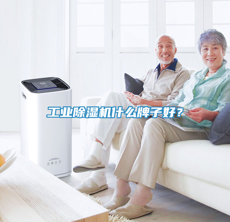 工業(yè)除濕機(jī)什么牌子好？