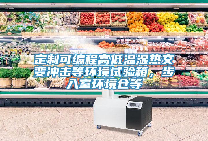 定制可編程高低溫濕熱交變沖擊等環(huán)境試驗箱，步入室環(huán)境倉等