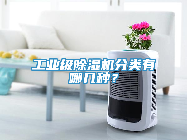 工業(yè)級(jí)除濕機(jī)分類有哪幾種？