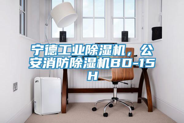 寧德工業(yè)除濕機(jī)，公安消防除濕機(jī)BD-15H
