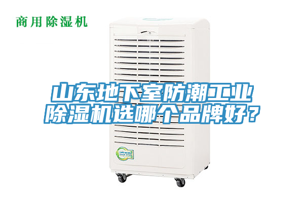 山東地下室防潮工業(yè)除濕機選哪個品牌好？