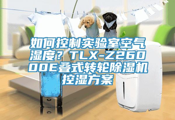 如何控制實(shí)驗(yàn)室空氣濕度？TLX-Z26000E疊式轉(zhuǎn)輪除濕機(jī)控濕方案