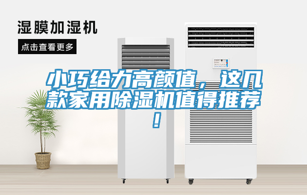 小巧給力高顏值，這幾款家用除濕機值得推薦！