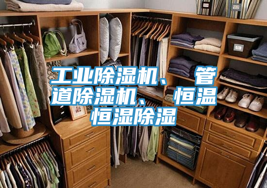 工業(yè)除濕機、 管道除濕機、 恒溫恒濕除濕