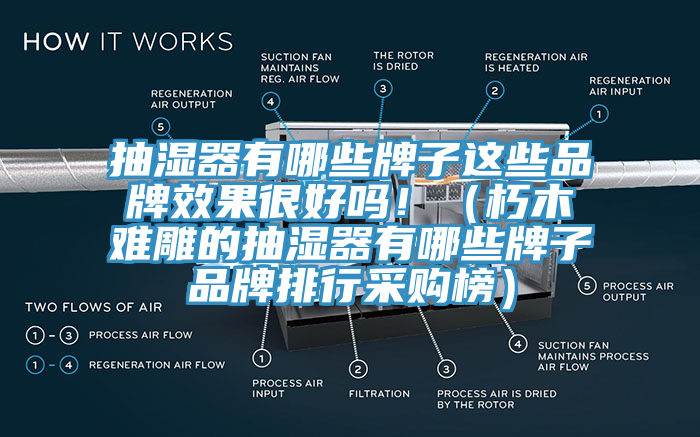 抽濕器有哪些牌子這些品牌效果很好嗎?。ㄐ嗄倦y雕的抽濕器有哪些牌子品牌排行采購(gòu)榜）