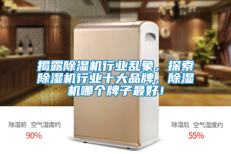 揭露除濕機行業(yè)亂象，探索除濕機行業(yè)十大品牌，除濕機哪個牌子最好！