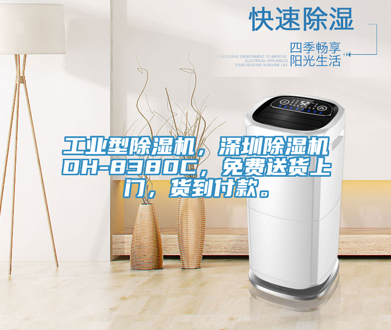 工業(yè)型除濕機，深圳除濕機DH-8380C，免費送貨上門，貨到付款。