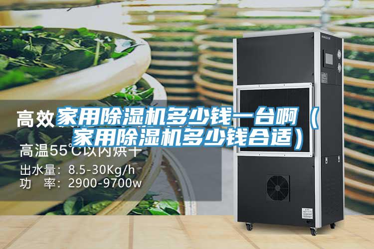 家用除濕機(jī)多少錢一臺?。矣贸凉駲C(jī)多少錢合適）