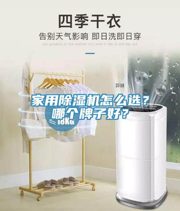 家用除濕機怎么選？哪個牌子好？
