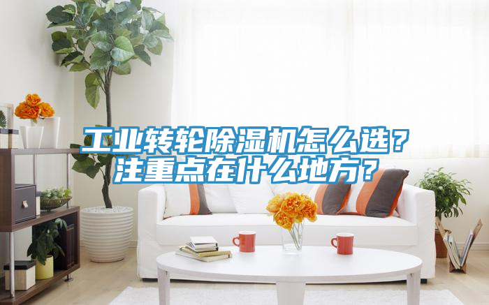 工業(yè)轉(zhuǎn)輪除濕機怎么選？注重點在什么地方？