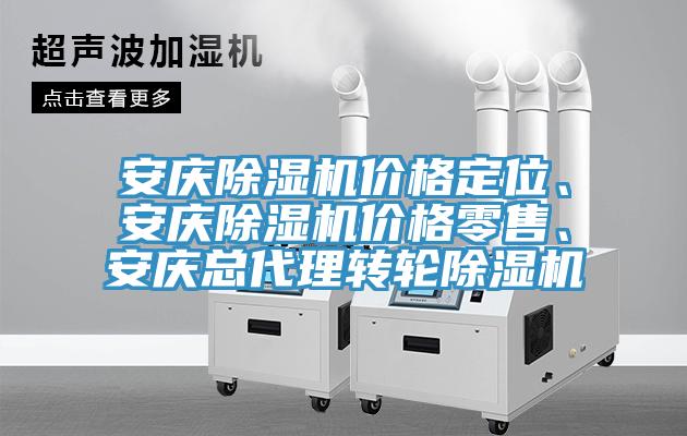 安慶除濕機價格定位、安慶除濕機價格零售、安慶總代理轉(zhuǎn)輪除濕機