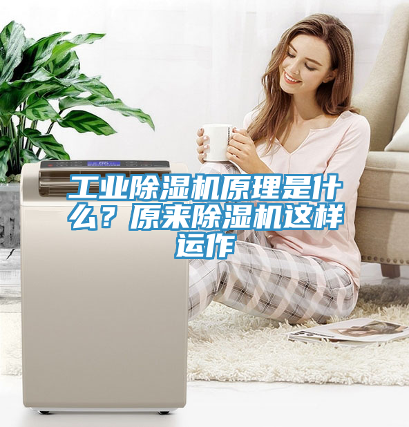 工業(yè)除濕機(jī)原理是什么？原來除濕機(jī)這樣運(yùn)作