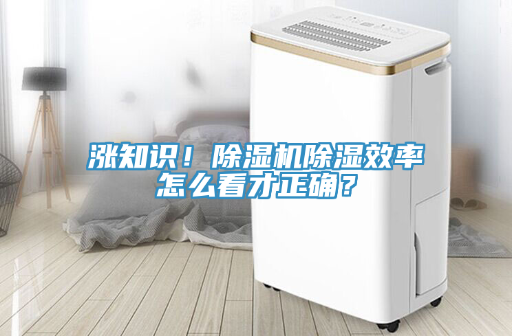 漲知識！除濕機除濕效率怎么看才正確？