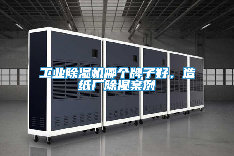 工業(yè)除濕機哪個牌子好，造紙廠除濕案例