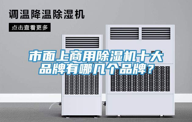 市面上商用除濕機(jī)十大品牌有哪幾個品牌？