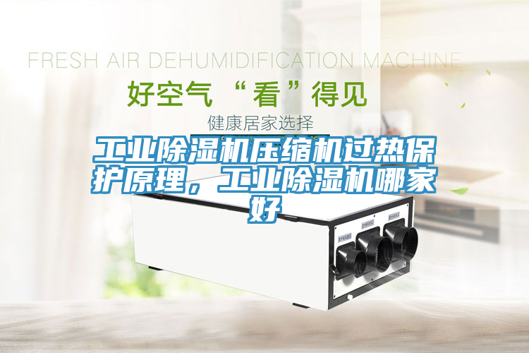 工業(yè)除濕機(jī)壓縮機(jī)過熱保護(hù)原理，工業(yè)除濕機(jī)哪家好