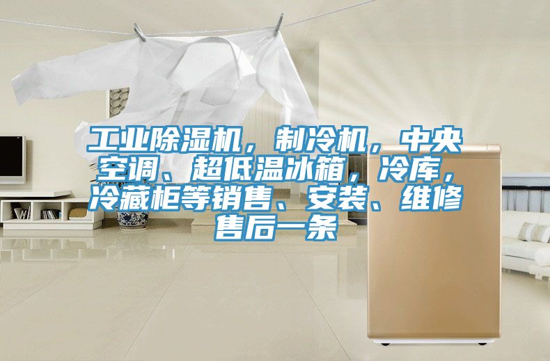 工業(yè)除濕機，制冷機，中央空調(diào)、超低溫冰箱，冷庫，冷藏柜等銷售、安裝、維修售后一條