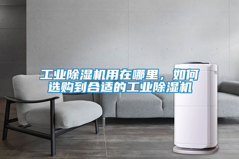 工業(yè)除濕機(jī)用在哪里，如何選購到合適的工業(yè)除濕機(jī)