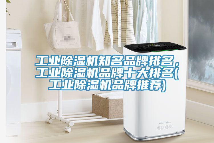 工業(yè)除濕機知名品牌排名，工業(yè)除濕機品牌十大排名(工業(yè)除濕機品牌推薦)