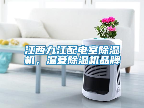 江西九江配電室除濕機(jī)，濕菱除濕機(jī)品牌