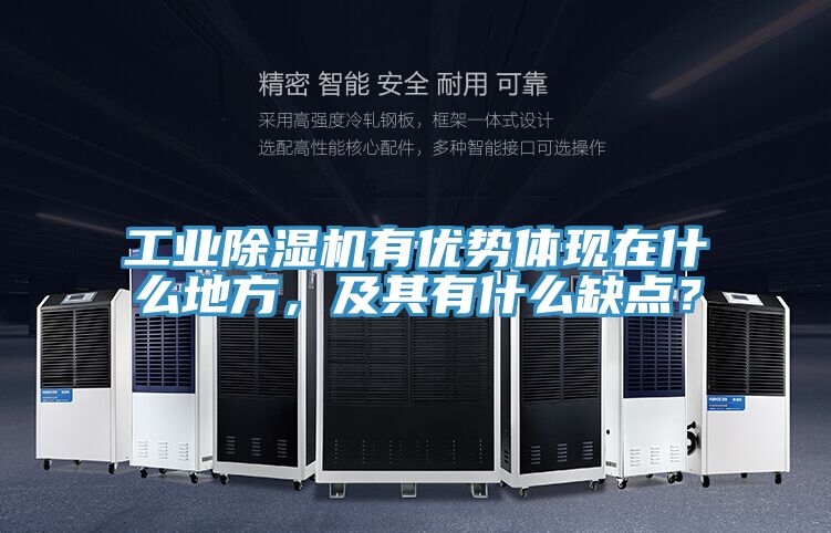 工業(yè)除濕機(jī)有優(yōu)勢體現(xiàn)在什么地方，及其有什么缺點？