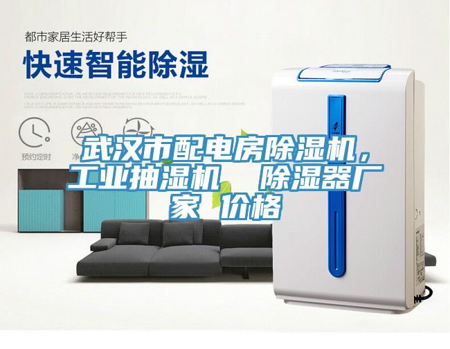 武漢市配電房除濕機，工業(yè)抽濕機  除濕器廠家 價格