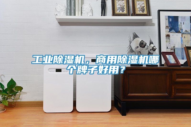 工業(yè)除濕機，商用除濕機哪個牌子好用？