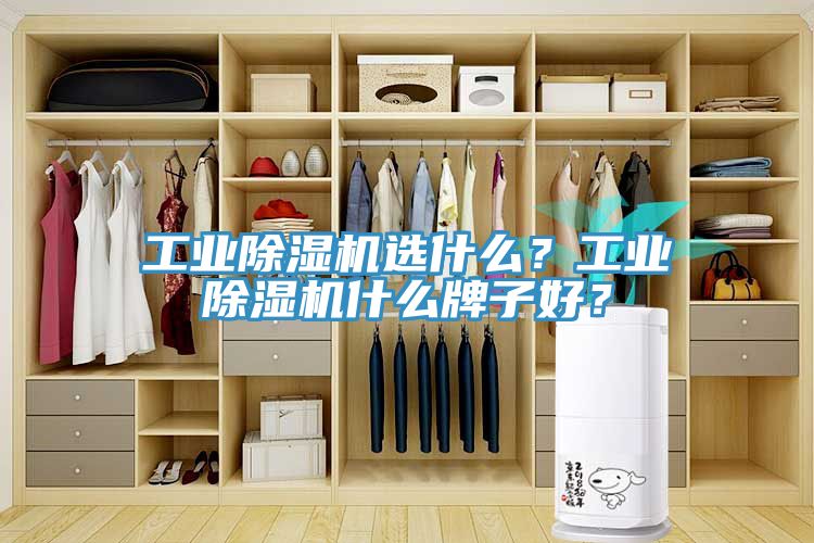 工業(yè)除濕機(jī)選什么？工業(yè)除濕機(jī)什么牌子好？