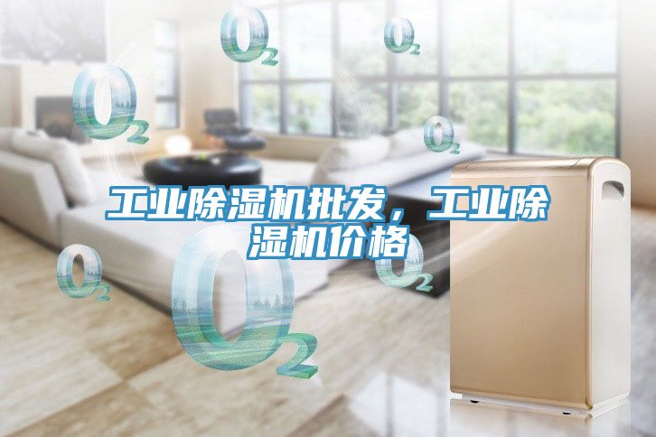 工業(yè)除濕機批發(fā)，工業(yè)除濕機價格