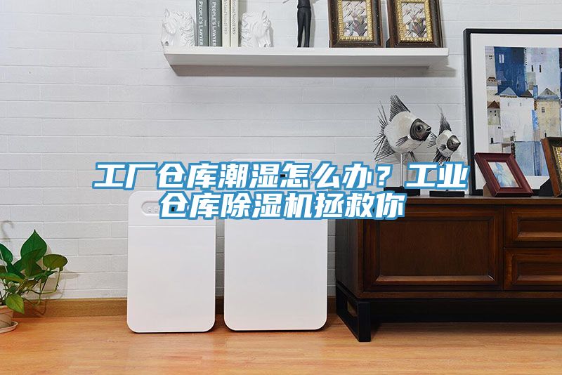 工廠倉庫潮濕怎么辦？工業(yè)倉庫除濕機(jī)拯救你