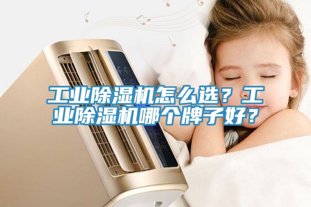 工業(yè)除濕機(jī)怎么選？工業(yè)除濕機(jī)哪個(gè)牌子好？