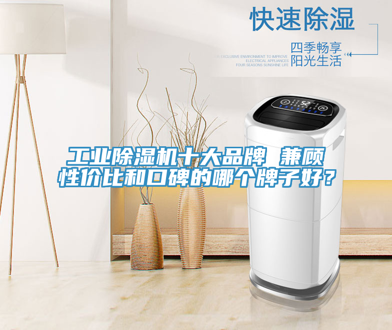 工業(yè)除濕機(jī)十大品牌 兼顧性價比和口碑的哪個牌子好？