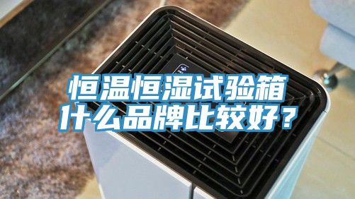 恒溫恒濕試驗(yàn)箱什么品牌比較好？