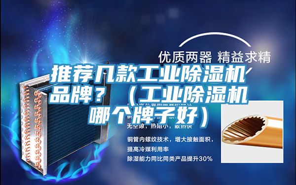 推薦幾款工業(yè)除濕機(jī)品牌？（工業(yè)除濕機(jī)哪個(gè)牌子好）
