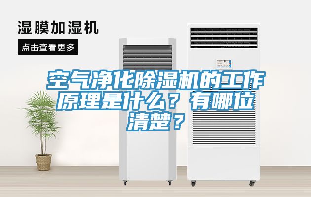 空氣凈化除濕機(jī)的工作原理是什么？有哪位清楚？