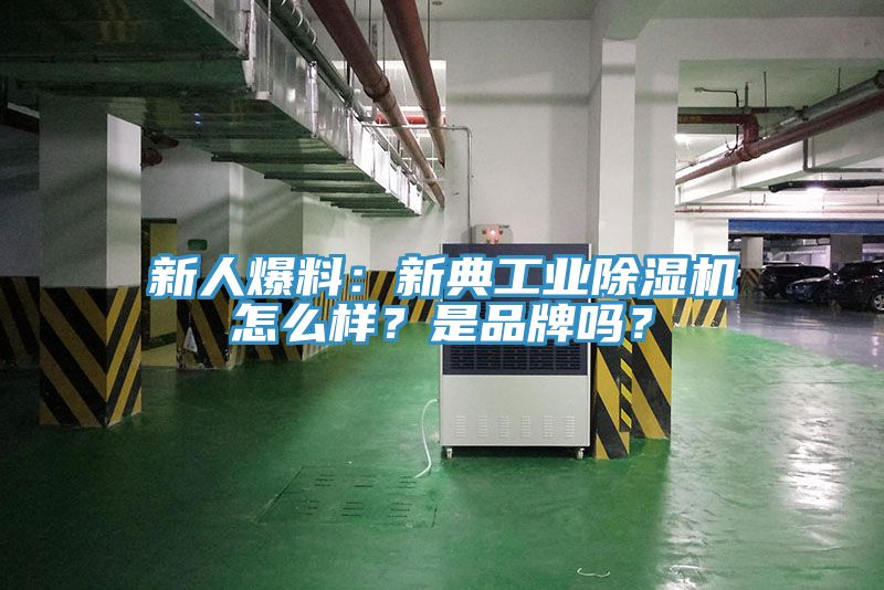 新人爆料：新典工業(yè)除濕機怎么樣？是品牌嗎？