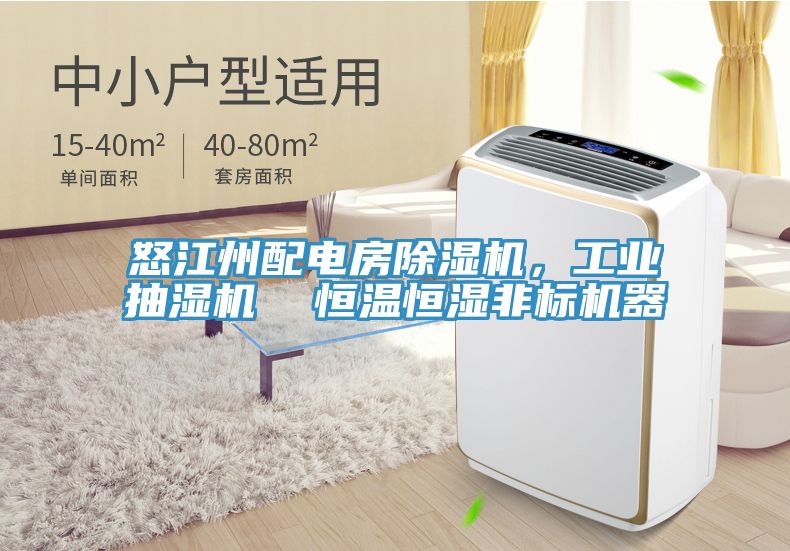 怒江州配電房除濕機(jī)，工業(yè)抽濕機(jī)  恒溫恒濕非標(biāo)機(jī)器
