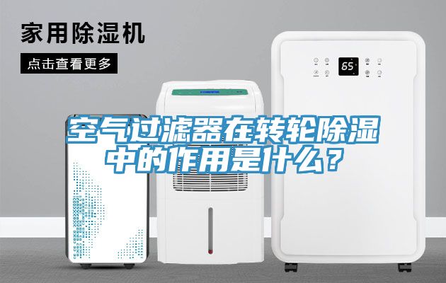 空氣過濾器在轉輪除濕中的作用是什么？