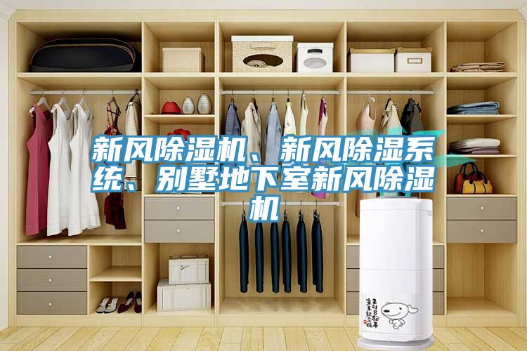 新風(fēng)除濕機(jī)、新風(fēng)除濕系統(tǒng)、別墅地下室新風(fēng)除濕機(jī)