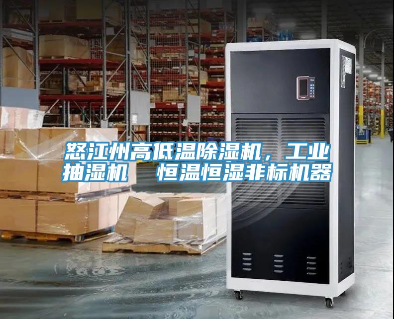 怒江州高低溫除濕機(jī)，工業(yè)抽濕機(jī)  恒溫恒濕非標(biāo)機(jī)器