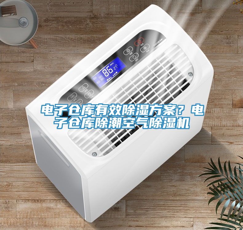 電子倉庫有效除濕方案？電子倉庫除潮空氣除濕機(jī)