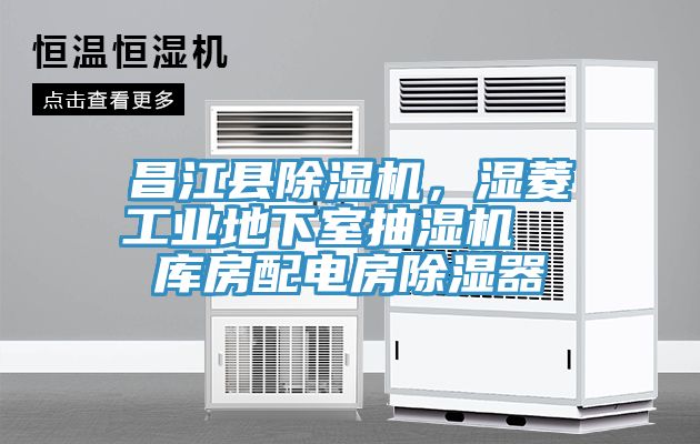 昌江縣除濕機(jī)，濕菱工業(yè)地下室抽濕機(jī)  庫房配電房除濕器
