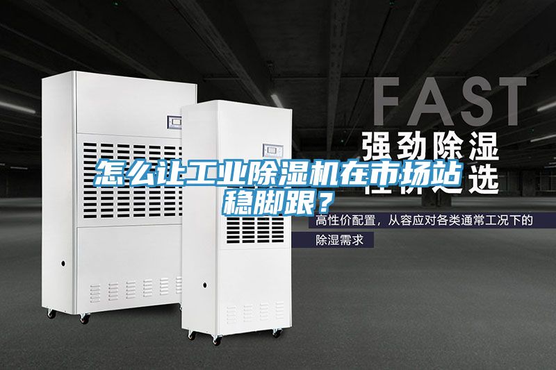 怎么讓工業(yè)除濕機(jī)在市場(chǎng)站穩(wěn)腳跟？