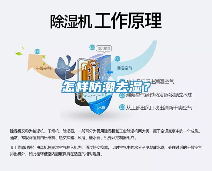 怎樣防潮去濕？